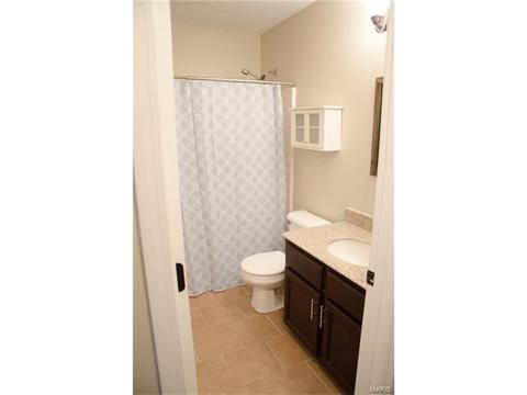 1713 Forest Trace Dr, O'fallon, MO 63368 photo 21