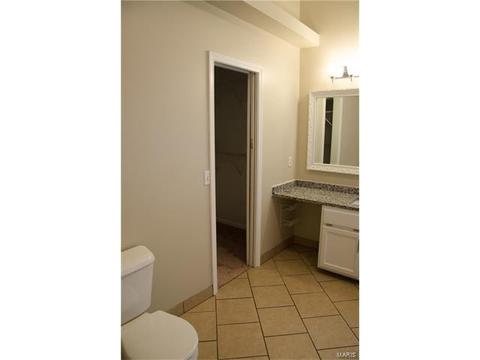 1713 Forest Trace Dr, O'fallon, MO 63368 photo 16