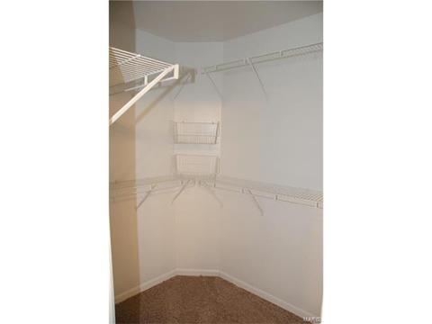 1713 Forest Trace Dr, O'fallon, MO 63368 photo 17