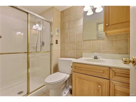 633 Castle Meadows Ct, Ballwin, MO 63021 photo 30