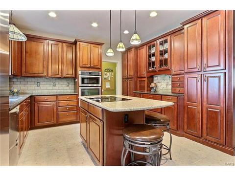 633 Castle Meadows Ct, Ballwin, MO 63021 photo 9