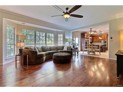 633 Castle Meadows Ct, Ballwin, MO 63021 photo 8