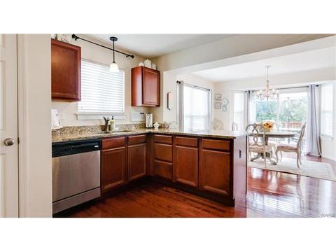 202 Springbeach Dr, O'fallon, MO 63368 photo 15