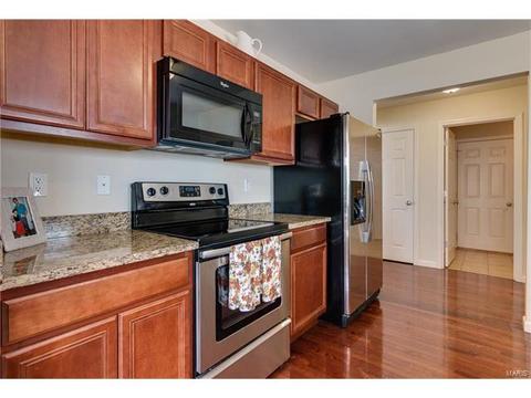 202 Springbeach Dr, O'fallon, MO 63368 photo 5
