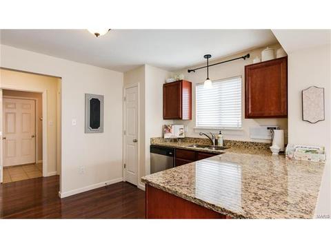 202 Springbeach Dr, O'fallon, MO 63368 photo 13