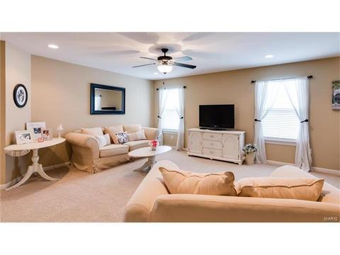 202 Springbeach Dr, O'fallon, MO 63368 photo 17