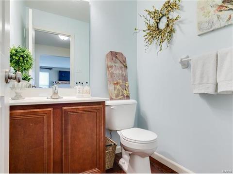 202 Springbeach Dr, O'fallon, MO 63368 photo 16