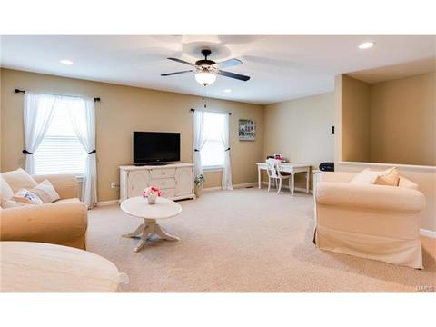 202 Springbeach Dr, O'fallon, MO 63368 photo 18
