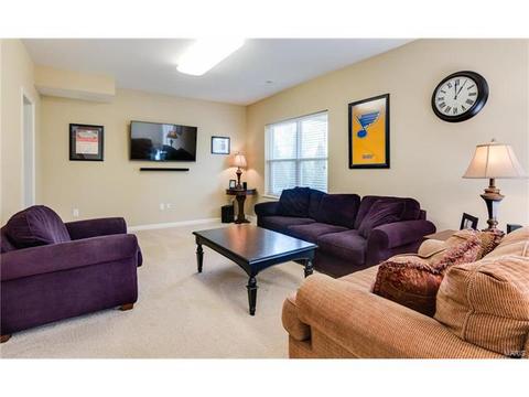 202 Springbeach Dr, O'fallon, MO 63368 photo 28