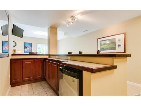 202 Springbeach Dr, O'fallon, MO 63368 photo 29