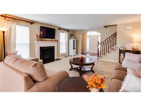 202 Springbeach Dr, O'fallon, MO 63368 photo 10