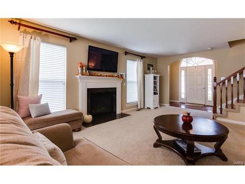 202 Springbeach Dr, O'fallon, MO 63368 photo 9