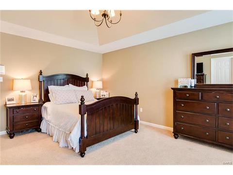 202 Springbeach Dr, O'fallon, MO 63368 photo 19