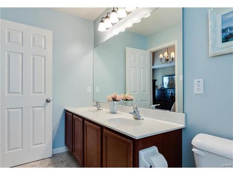 202 Springbeach Dr, O'fallon, MO 63368 photo 20
