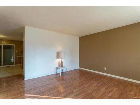 1018 Saint Paul Ln, O'fallon, MO 63366 photo 3