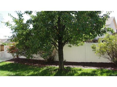 156 Royallmanor Ln, O'fallon, MO 63368 photo 26