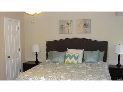 156 Royallmanor Ln, O'fallon, MO 63368 photo 10