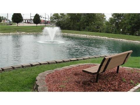 156 Royallmanor Ln, O'fallon, MO 63368 photo 30