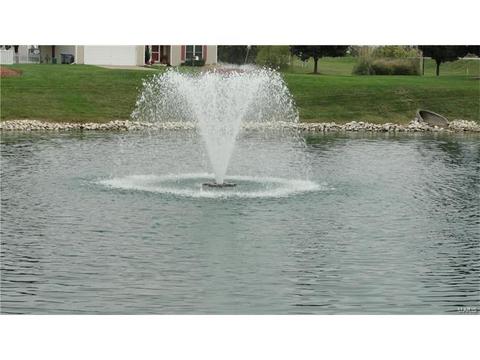 156 Royallmanor Ln, O'fallon, MO 63368 photo 31