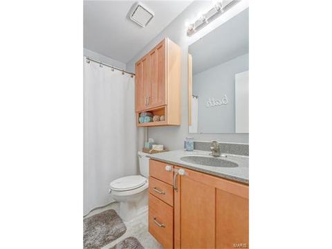 1108 Holgate Dr, Manchester, MO 63021 photo 15
