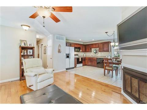 1108 Holgate Dr, Manchester, MO 63021 photo 4
