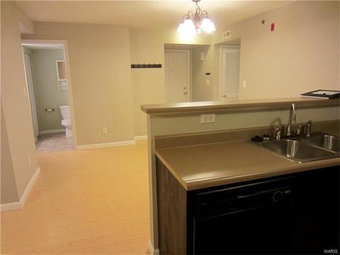5100 Spring Crk, O'fallon, MO 63368 photo 10