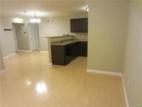 5100 Spring Crk, O'fallon, MO 63368 photo 12