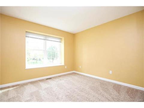 17146 Elm Trl, Eureka, MO 63025 photo 21
