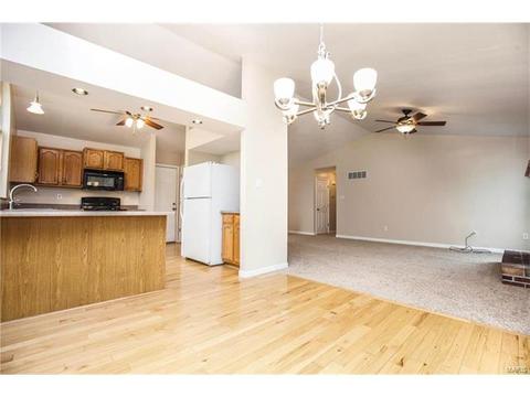 17146 Elm Trl, Eureka, MO 63025 photo 4