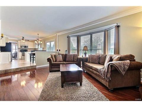 16978 Hickory Forest Ln, Wildwood, MO 63011 photo 4