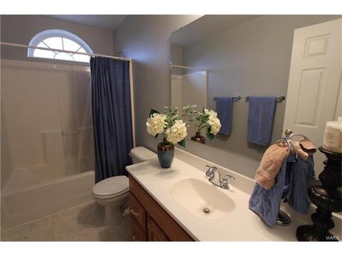 2059 Moondance Ct, O'fallon, MO 63368 photo 24