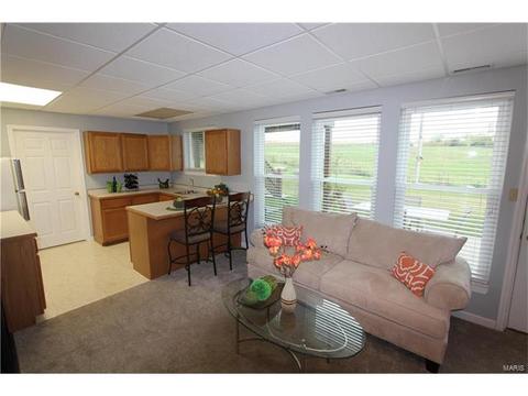 2059 Moondance Ct, O'fallon, MO 63368 photo 19