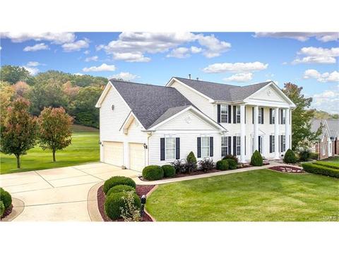 421 Eagle Pointe Lndg, Eureka, MO 63025 photo 4