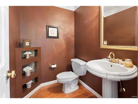 421 Eagle Pointe Lndg, Eureka, MO 63025 photo 20