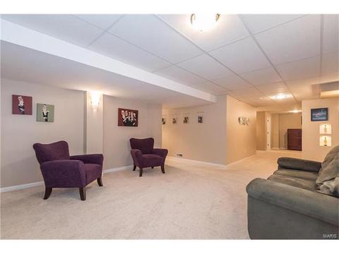 708 Emerald Oaks Ct, Eureka, MO 63025 photo 35