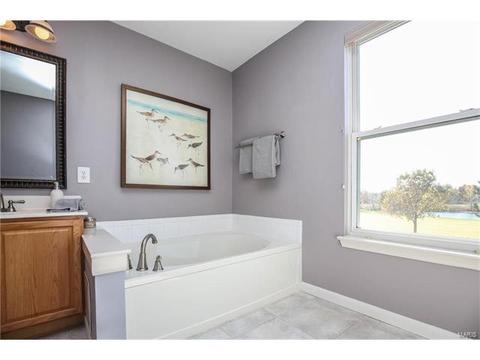 1214 Red Orchard Ct, O'fallon, MO 63368 photo 17