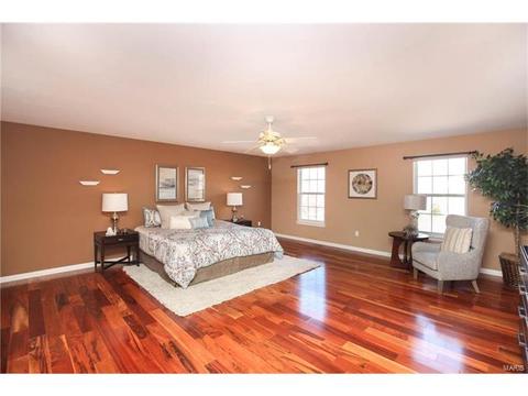 1214 Red Orchard Ct, O'fallon, MO 63368 photo 13