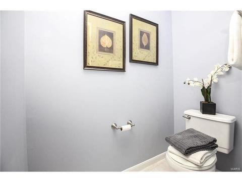 1214 Red Orchard Ct, O'fallon, MO 63368 photo 19