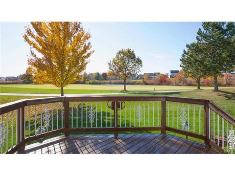 1214 Red Orchard Ct, O'fallon, MO 63368 photo 29