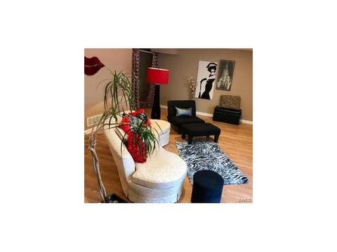 146 Carmel Woods Dr, Ellisville, MO 63021 photo 19