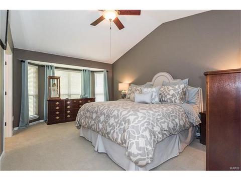 747 Trago Creek Dr, Ballwin, MO 63021 photo 21