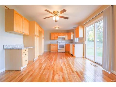 703 Guenevere Dr, Ballwin, MO 63011 photo 19
