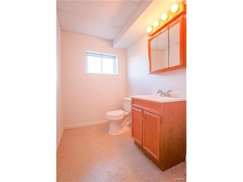 703 Guenevere Dr, Ballwin, MO 63011 photo 51