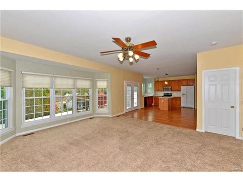 1774 Spring View Terrace Ct, Ballwin, MO 63021 photo 6
