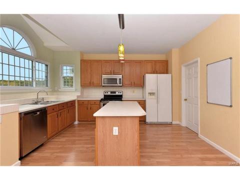 1774 Spring View Terrace Ct, Ballwin, MO 63021 photo 8