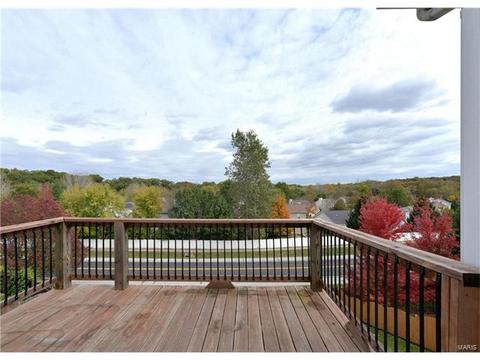 1774 Spring View Terrace Ct, Ballwin, MO 63021 photo 19