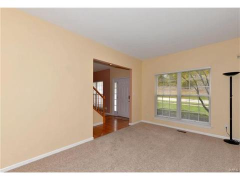 1774 Spring View Terrace Ct, Ballwin, MO 63021 photo 4