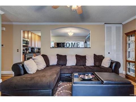 1251 Perdiz Ln, Fenton, MO 63026 photo 6