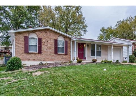1251 Perdiz Ln, Fenton, MO 63026 photo 28
