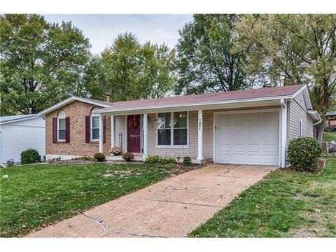 1251 Perdiz Ln, Fenton, MO 63026 photo 29